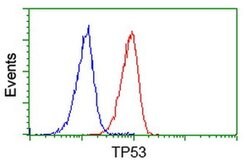 p53 Monoclonal Antibody (OTI2E4), TrueMAB , OriGene 30 &mu;L; Unconjugated:Antibodies,