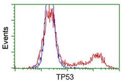 p53 Monoclonal Antibody (OTI3G9), TrueMAB , OriGene:Antibodies:Primary