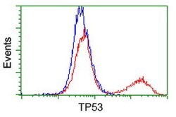 p53 Mouse anti-Human, Clone: OTI2F7, lyophilized, TrueMAB 100 &mu;g; Unconjugated:Antibodies,