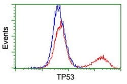 p53 Monoclonal Antibody (OTI2F7), TrueMAB , OriGene 30 &mu;L; Unconjugated:Antibodies,