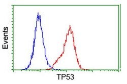 p53 Mouse anti-Human, Clone: OTI2F7, lyophilized, TrueMAB 100 &mu;g; Unconjugated:Antibodies,