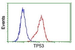 p53 Monoclonal Antibody (OTI2F7), TrueMAB , OriGene 30 &mu;L; Unconjugated:Antibodies,