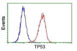 p53 Monoclonal Antibody (OTI1D8), TrueMAB , OriGene 100 &mu;L; Unconjugated:Antibodies,