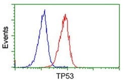 p53 Monoclonal Antibody (OTI1D8), TrueMAB , OriGene:Antibodies:Primary