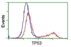 p53 Monoclonal Antibody (OTI5B2), TrueMAB , OriGene 100 &mu;L; Unconjugated:Antibodies,
