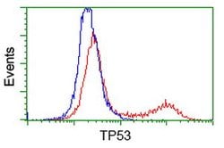 p53 Mouse anti-Human, Clone: OTI3A6, lyophilized, TrueMAB 100 &mu;g; Unconjugated:Antibodies,