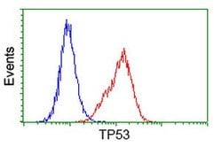 p53 Mouse anti-Human, Clone: OTI3A6, lyophilized, TrueMAB 100 &mu;g; Unconjugated:Antibodies,