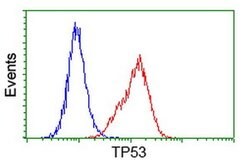 p53 Monoclonal Antibody (OTI3A6), TrueMAB , OriGene 100 &mu;L; Unconjugated:Antibodies,