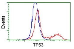 p53 Monoclonal Antibody (OTI2H4), TrueMAB , OriGene 100 &mu;L; Unconjugated:Antibodies,