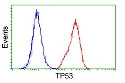 p53 Monoclonal Antibody (OTI2H4), TrueMAB , OriGene 100 &mu;L; Unconjugated:Antibodies,