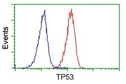 p53 Monoclonal Antibody (OTI2H4), TrueMAB , OriGene 100 &mu;L; Unconjugated:Antibodies,