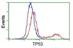 p53 Monoclonal Antibody (OTI5D9), TrueMAB , OriGene 30 &mu;L; Unconjugated:Antibodies,