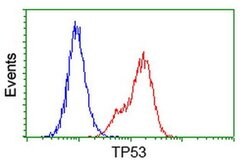 p53 Monoclonal Antibody (OTI5D9), TrueMAB , OriGene:Antibodies:Primary