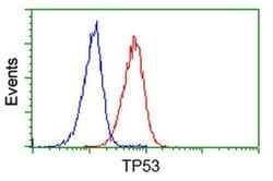 p53 Monoclonal Antibody (OTI5D9), TrueMAB , OriGene 30 &mu;L; Unconjugated:Antibodies,