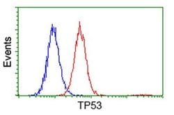 p53 Monoclonal Antibody (OTI1D11), TrueMAB , OriGene 30 &mu;L; Unconjugated:Antibodies,