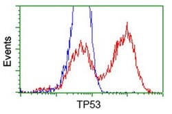 p53 Monoclonal Antibody (OTI2A4), TrueMAB , OriGene 100 &mu;L | Buy Online | Origene Technologies | Fisher Scientific