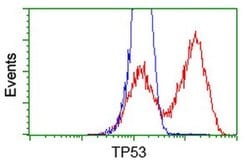 p53 Monoclonal Antibody (OTI1D1), TrueMAB , OriGene 100 &mu;L; Unconjugated:Antibodies,