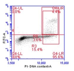 Phospho-Histone H3 (Ser10) Rabbit anti-Human, Mouse, Polyclonal, Bethyl