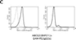 Invitrogen Goat anti-Mouse IgG2a Cross-Adsorbed Secondary Antibody, PE