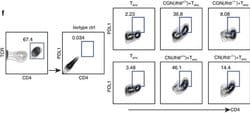 Rat IgG2a kappa Isotype Control (eBR2a), PE, eBioscience , Invitrogen:Antibodies:Isotype