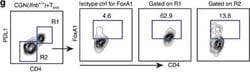 Rat IgG2a kappa Isotype Control (eBR2a), PE, eBioscience , Invitrogen:Antibodies:Isotype
