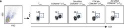 Rat IgG2a kappa Isotype Control (eBR2a), PE, eBioscience , Invitrogen:Antibodies:Isotype