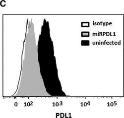 Invitrogen Mouse IgG1 kappa Isotype Control (P3.6.2.8.1), PE, eBioscience