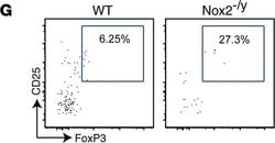 Invitrogen Goat anti-Rat IgG (H+L) Cross-Adsorbed Secondary Antibody, Alexa