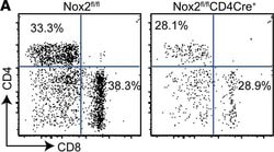 Invitrogen Goat anti-Rat IgG (H+L) Cross-Adsorbed Secondary Antibody, Alexa