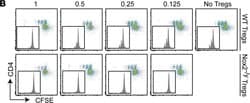 Invitrogen Goat anti-Rat IgG (H+L) Cross-Adsorbed Secondary Antibody, Alexa