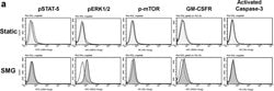Invitrogen Rat IgG2a kappa Isotype Control (eBR2a), APC, eBioscience 50