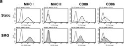 Rat IgG2a kappa Isotype Control (eBR2a), PE, eBioscience , Invitrogen:Antibodies:Isotype