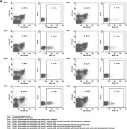Rat IgG2a kappa Isotype Control (eBR2a), PE, eBioscience , Invitrogen:Antibodies:Isotype