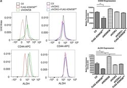 Invitrogen Rat IgG2a kappa Isotype Control (eBR2a), APC, eBioscience 50