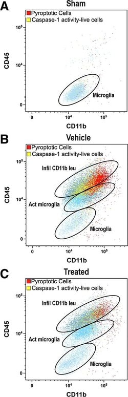 Invitrogen™ Rat IgG2a kappa Isotype Control (eBR2a), Alexa Fluor™ 488, eBioscience™