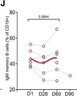 Invitrogen Goat anti-Mouse IgM (Heavy chain) Secondary Antibody, HRP 1