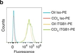 Invitrogen Armenian Hamster IgG Isotype Control (eBio299Arm), PE, eBioscience