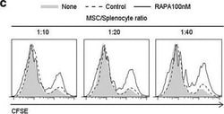 Mouse IgG1 kappa Isotype Control (P3.6.2.8.1), FITC, eBioscience , Invitrogen