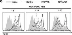 Mouse IgG1 kappa Isotype Control (P3.6.2.8.1), FITC, eBioscience , Invitrogen