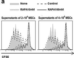Mouse IgG1 kappa Isotype Control (P3.6.2.8.1), FITC, eBioscience , Invitrogen