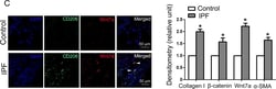 Invitrogen Goat anti-Mouse IgG (H+L) Cross-Adsorbed Secondary Antibody,