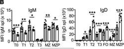 Invitrogen F(ab')2-Goat anti-Mouse IgM (Mu chain) Secondary Antibody 1