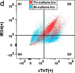 Invitrogen Goat anti-Mouse IgG (H+L) Highly Cross-Adsorbed Secondary Antibody,