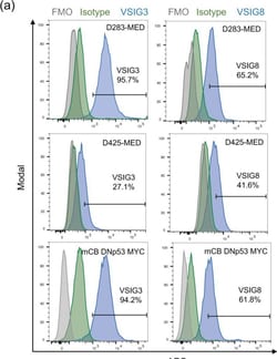 Invitrogen Goat anti-Rabbit IgG (H+L) Cross-Adsorbed Secondary Antibody,
