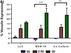 Invitrogen Goat anti-Mouse IgG (H+L) Cross-Adsorbed Secondary Antibody,