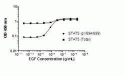 Invitrogen&trade;&nbsp;Human STAT5 alpha/beta InstantOne&trade; ELISA Kit