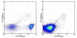 Invitrogen&trade;&nbsp;SIGLEC H Monoclonal Antibody (eBio440c), FITC, eBioscience&trade;