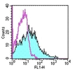 Invitrogen CD107b (LAMP-2) Monoclonal Antibody (M3/84), FITC, eBioscience