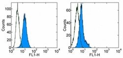 Invitrogen Zap-70 Monoclonal Antibody (1E7.2), FITC, eBioscience 100 &mu;g;
