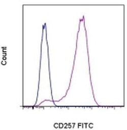 Invitrogen CD257 (BAFF, BLyS) Monoclonal Antibody (1D6), FITC, eBioscience:Antibodies:Primary
